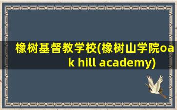 橡树基督教学校(橡树山学院oak hill academy)